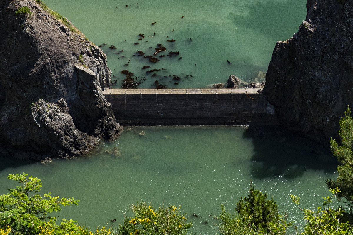 Nellies Cove near Port Orford, Oregon devoid of most kelp